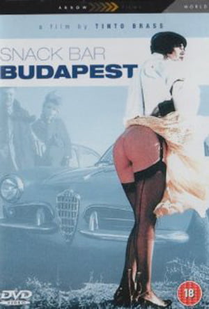 Budapeşte Barı Erotik Film izle